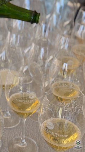 Texas Wine Month Launch: Texas Wine Auction Recap! 🍷✨

Happy Texas Wine Month! 🍇 There’s no better way to celebrate than show...