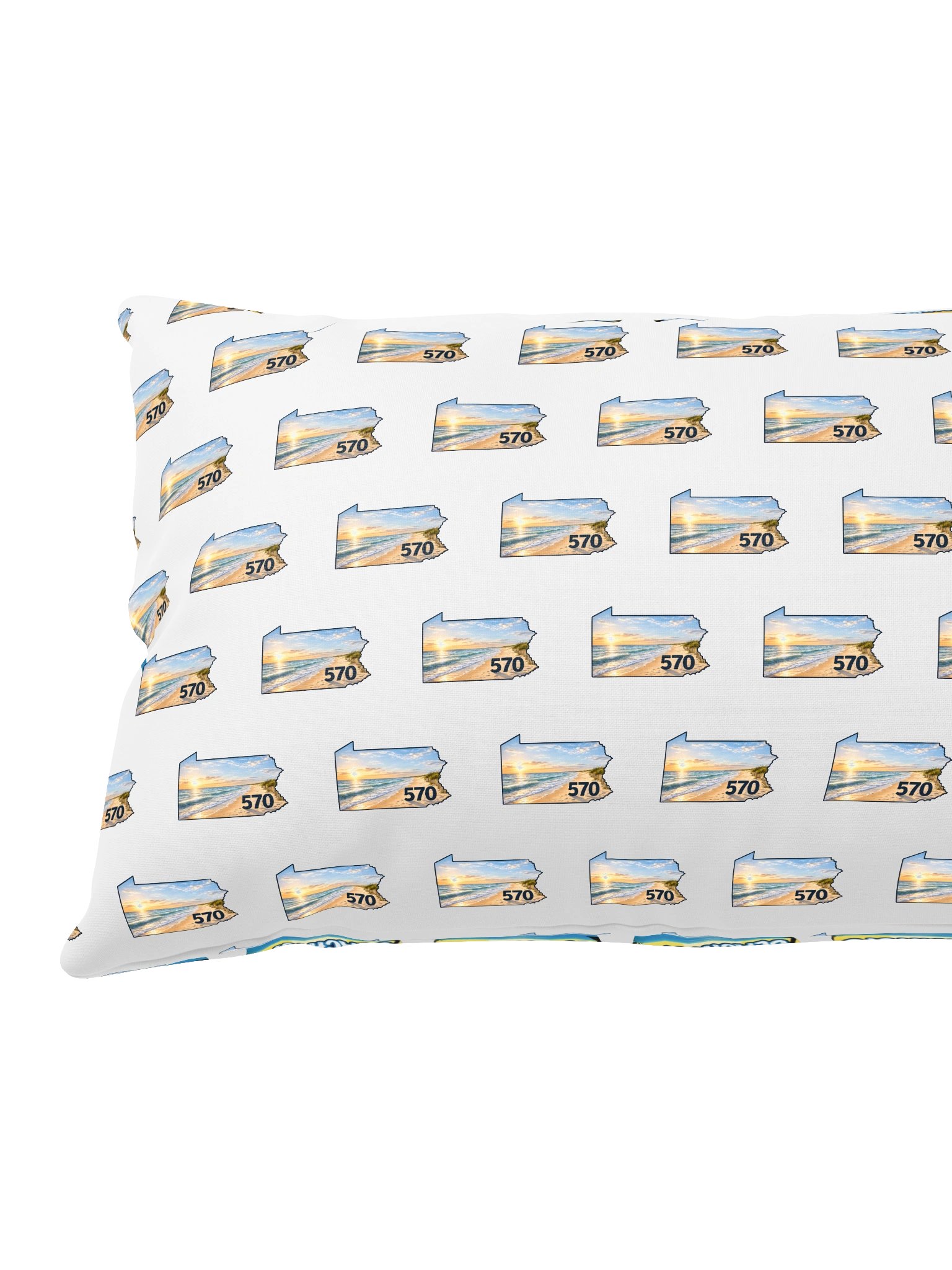 beachy570 pillow product image (8)