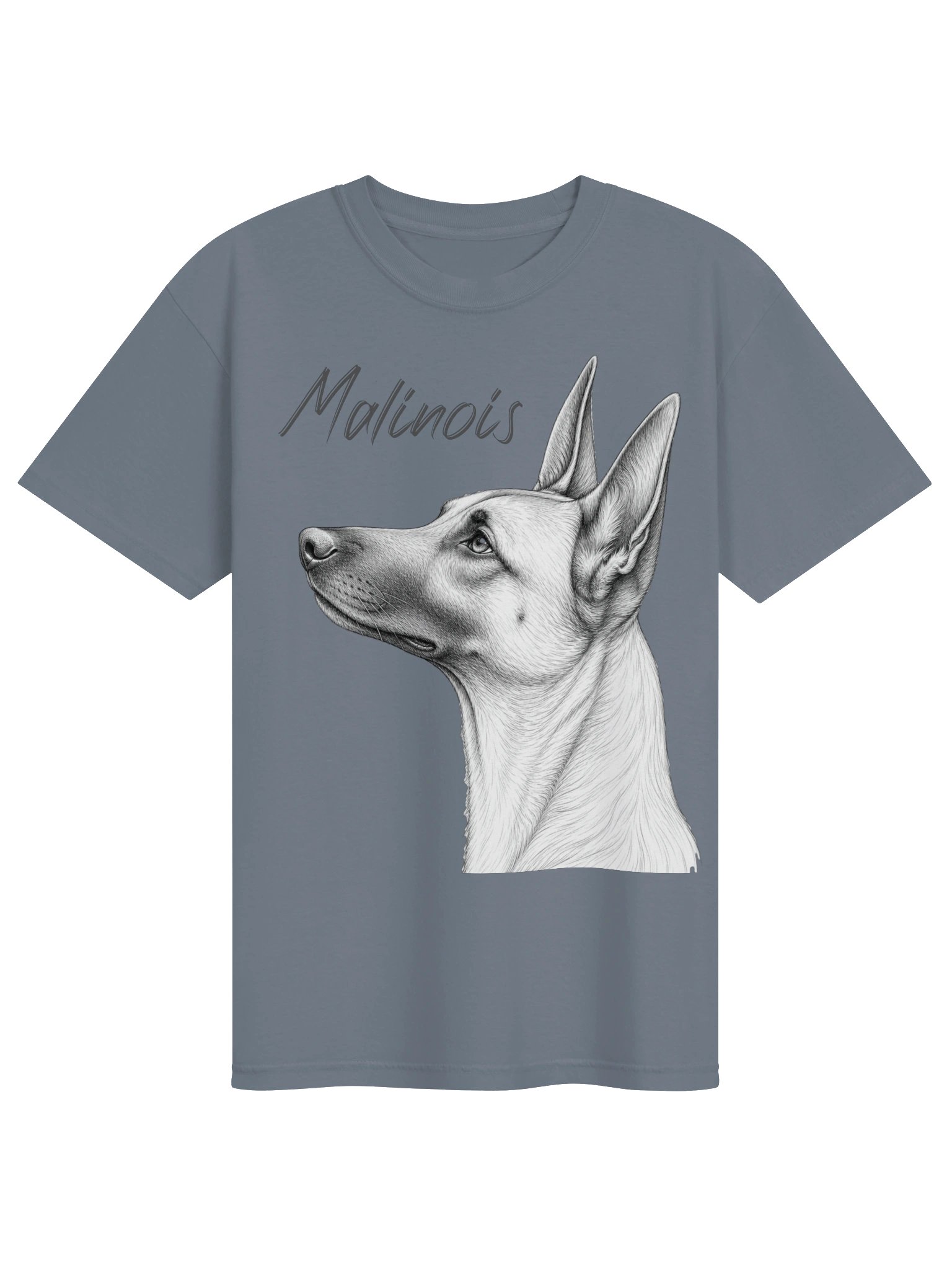 Belgian Malinois Profile product image (5)