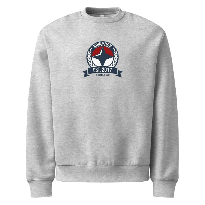 VINTAGE | ShinyDex Chest Logo Jumper product image (6)
