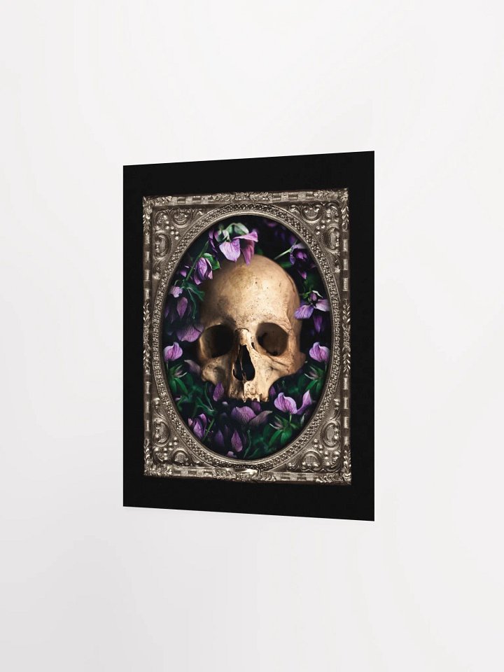 Spirit product image (2)