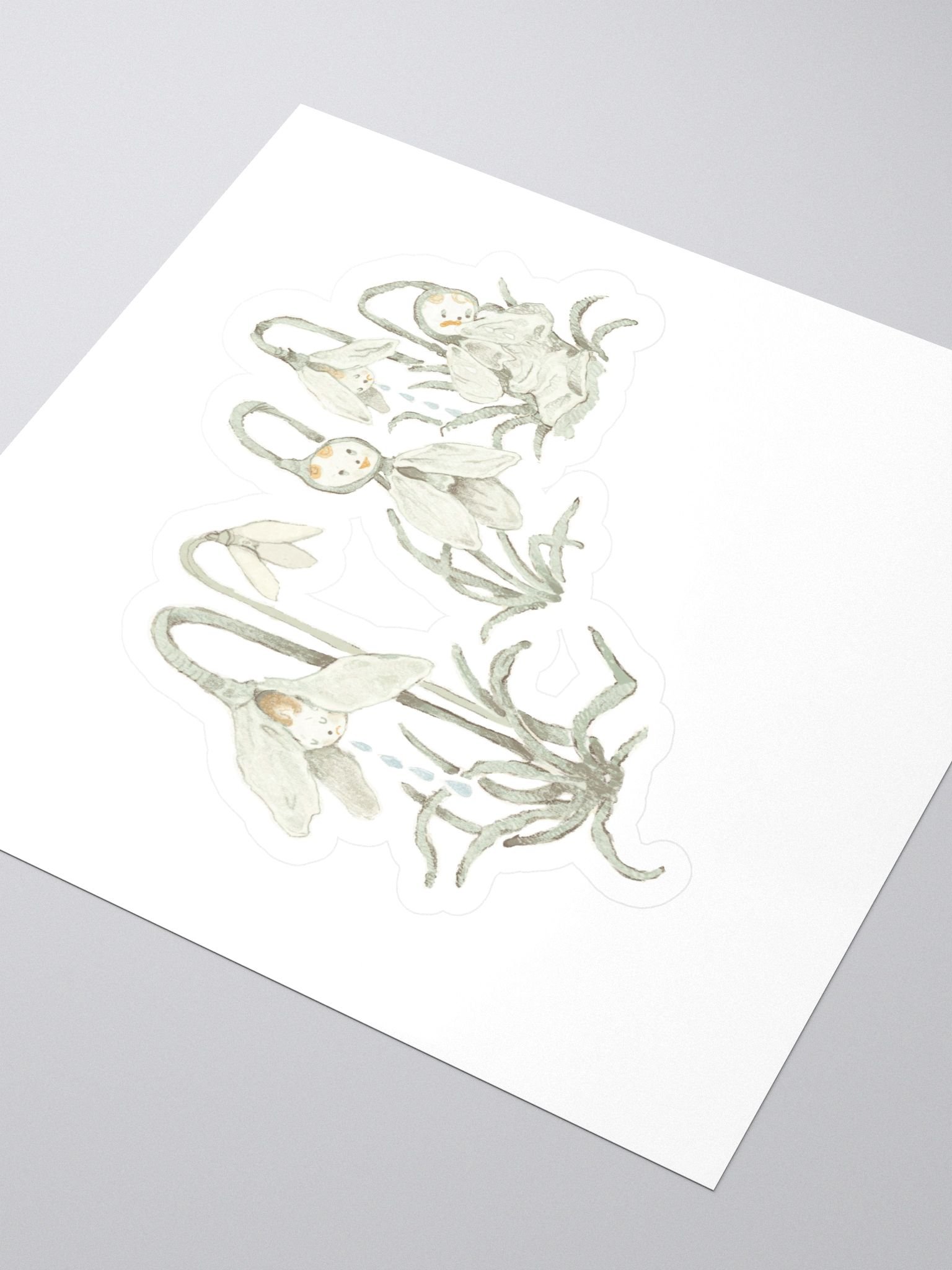 snowdrops,2025 product image (3)