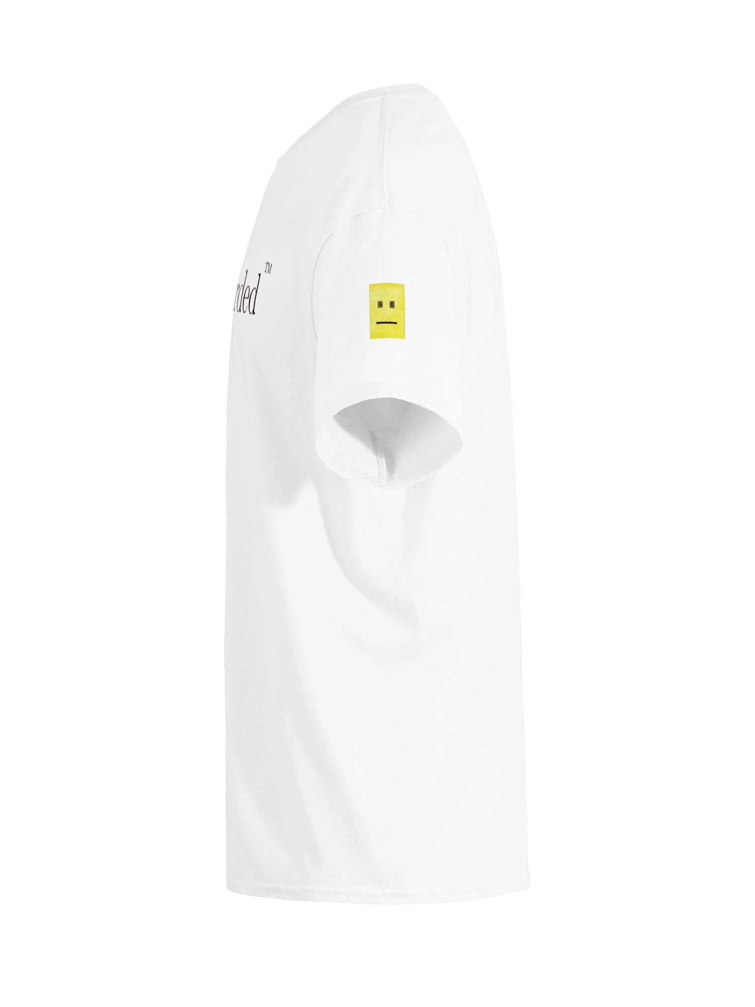 Registered ®Word ™ product image (3)