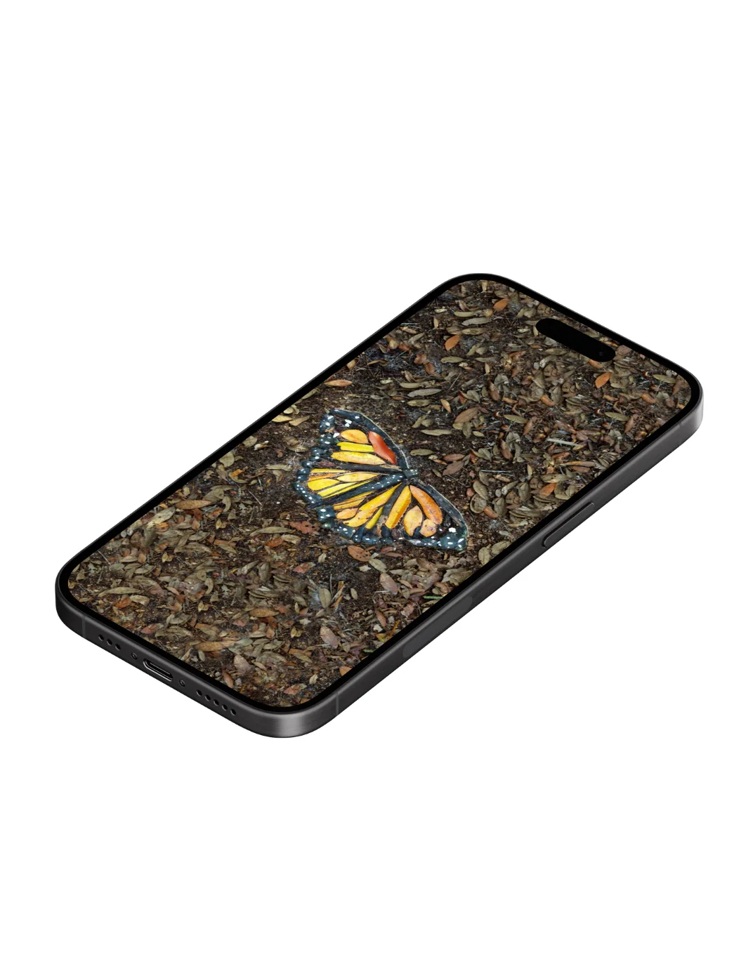 MONARCH BUTTERFLY | Phone Wallpaper product image (4)