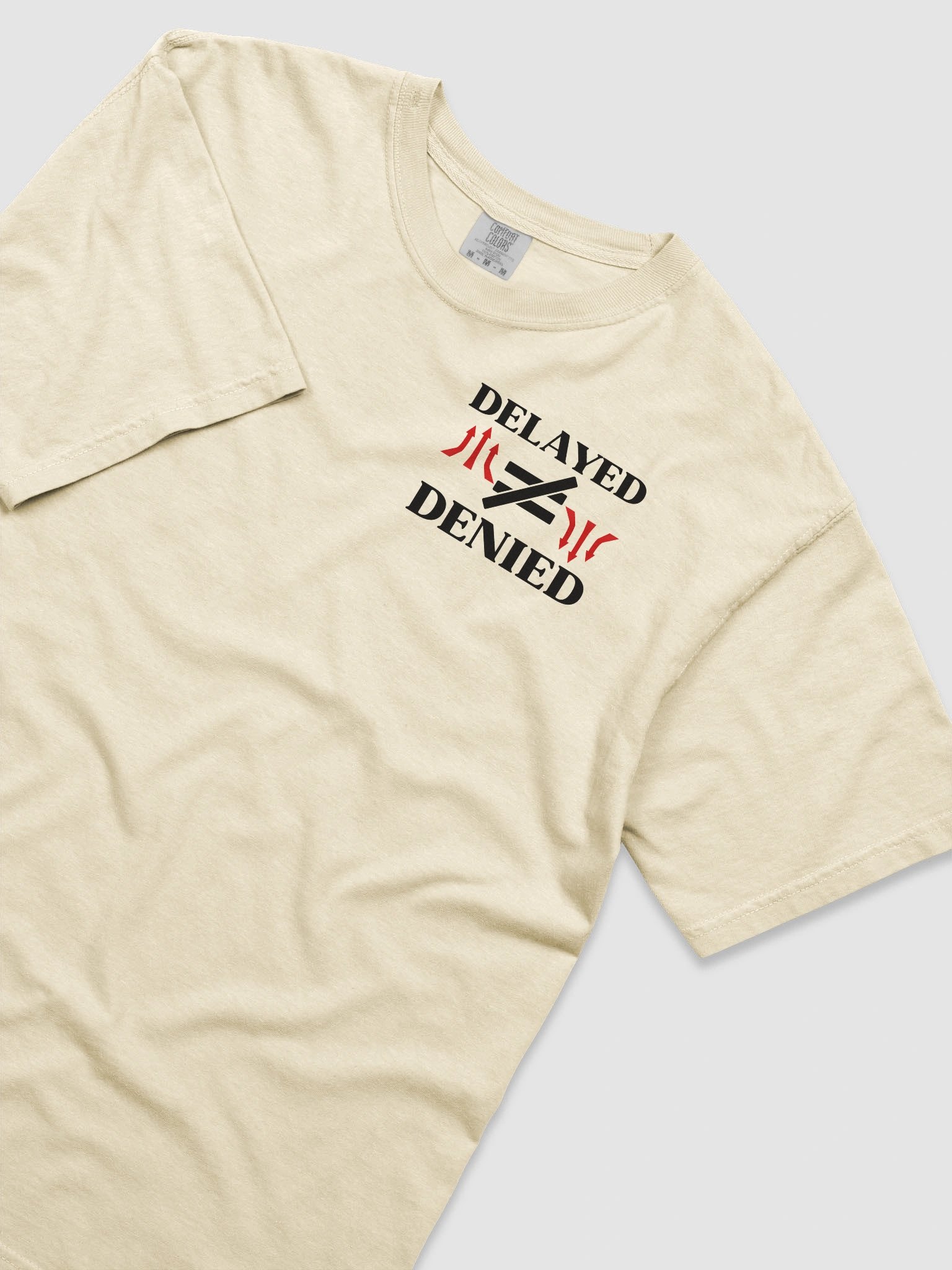 Delayed Not Denied Comfort Colors T-shirt. product image (3)