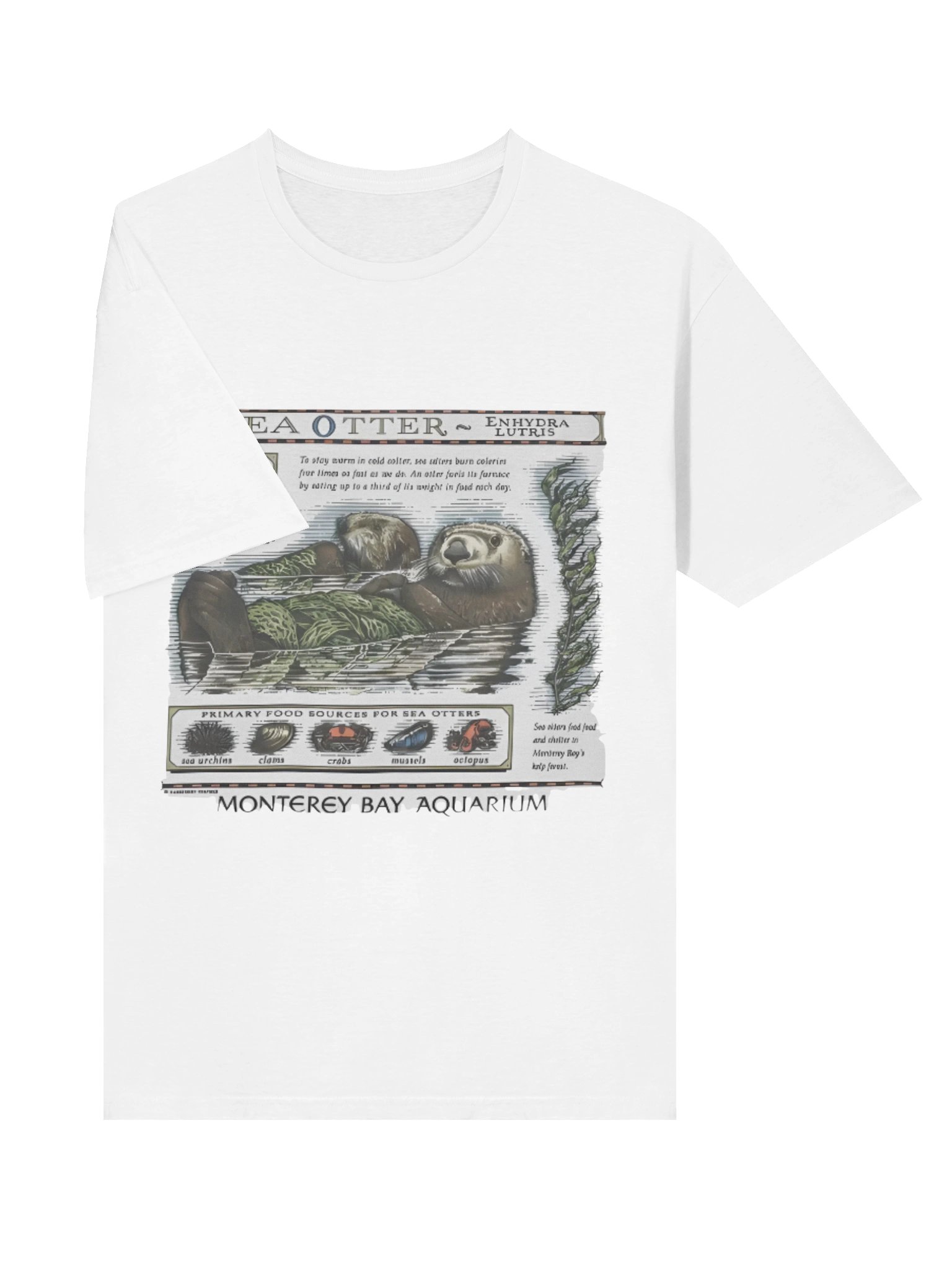Sea Otter Monterey Bay Aquarium T-shirt product image (3)