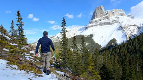 On our last video of the 2024 winter cabin series, we explored the entire Miette area in Jasper National Park. Hiking through...