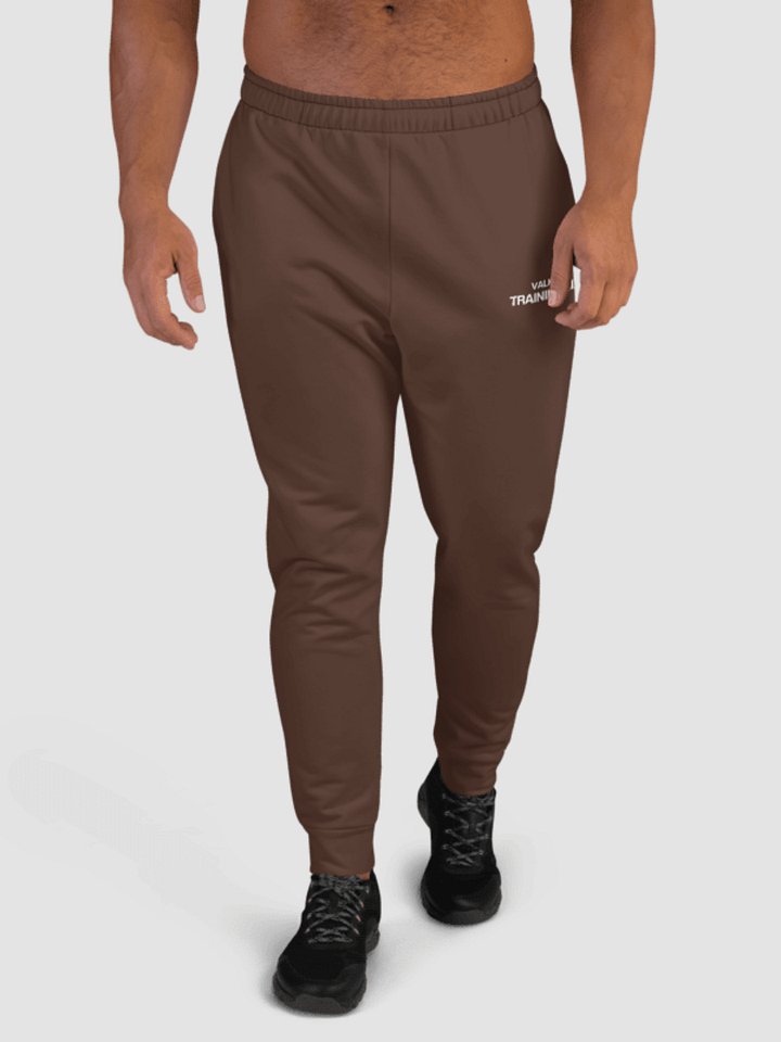 Training Club Joggers - Mocha product image (2)