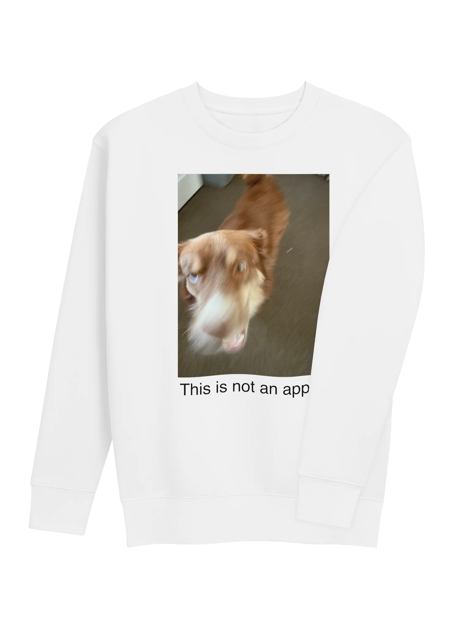 This is a dog. product image (4)
