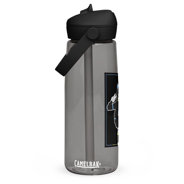 Playful SappSukii Water Bottle product image (1)