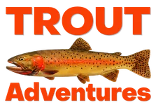 Trout Adventures