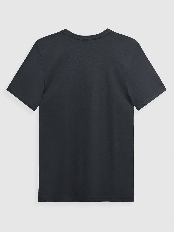 Alaska Ice on Next Lvl Shirt product image (8)