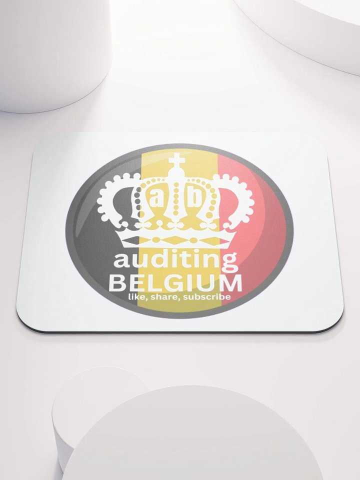 AUDITING BELGIUM product image (1)
