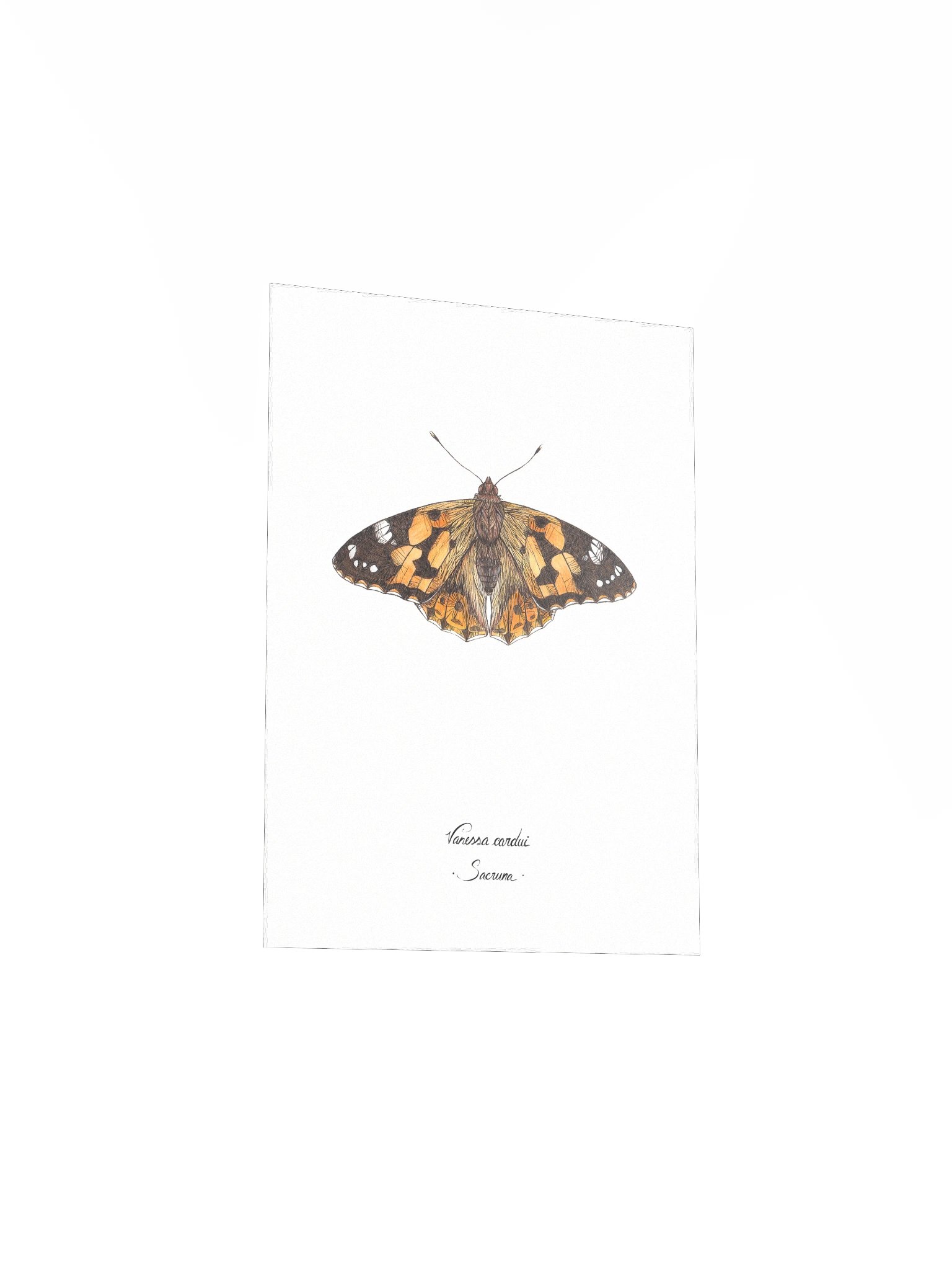 Vanessa Cardui • Print product image (6)