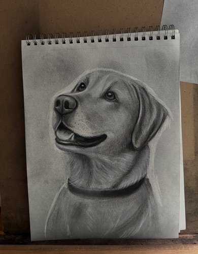 In memory of Bud, my parents’ very sweet lab who recently crossed the rainbow bridge. Rest in peace Bud, hope you’re getting ...