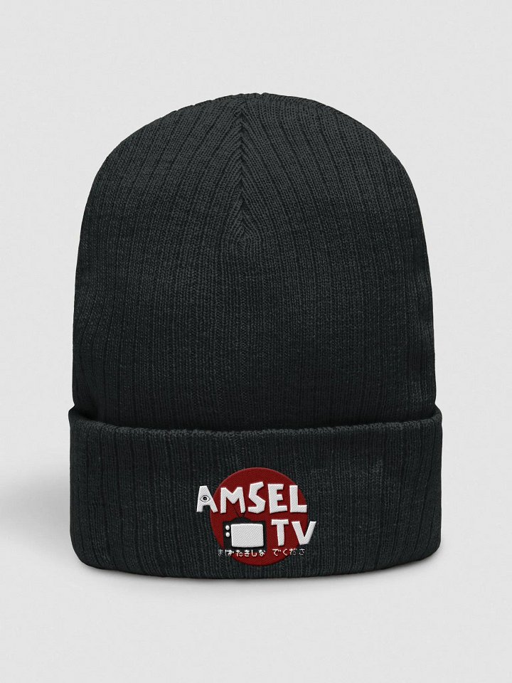 AmselTV Logo Beanie product image (1)