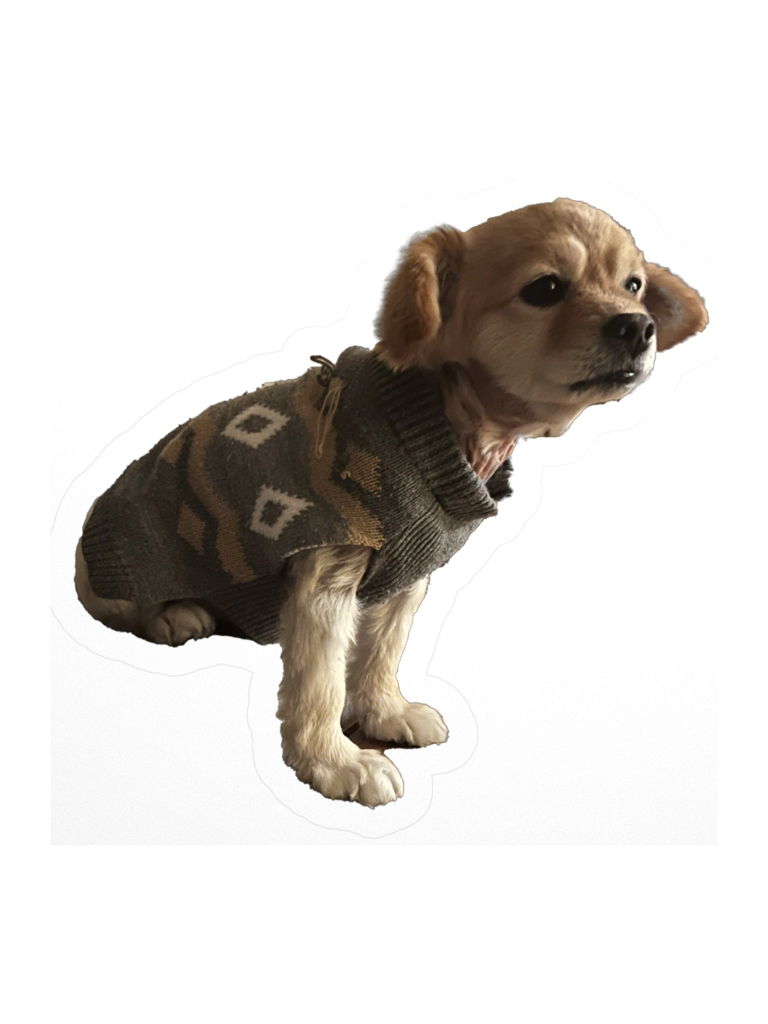 Im Sat product image (1)