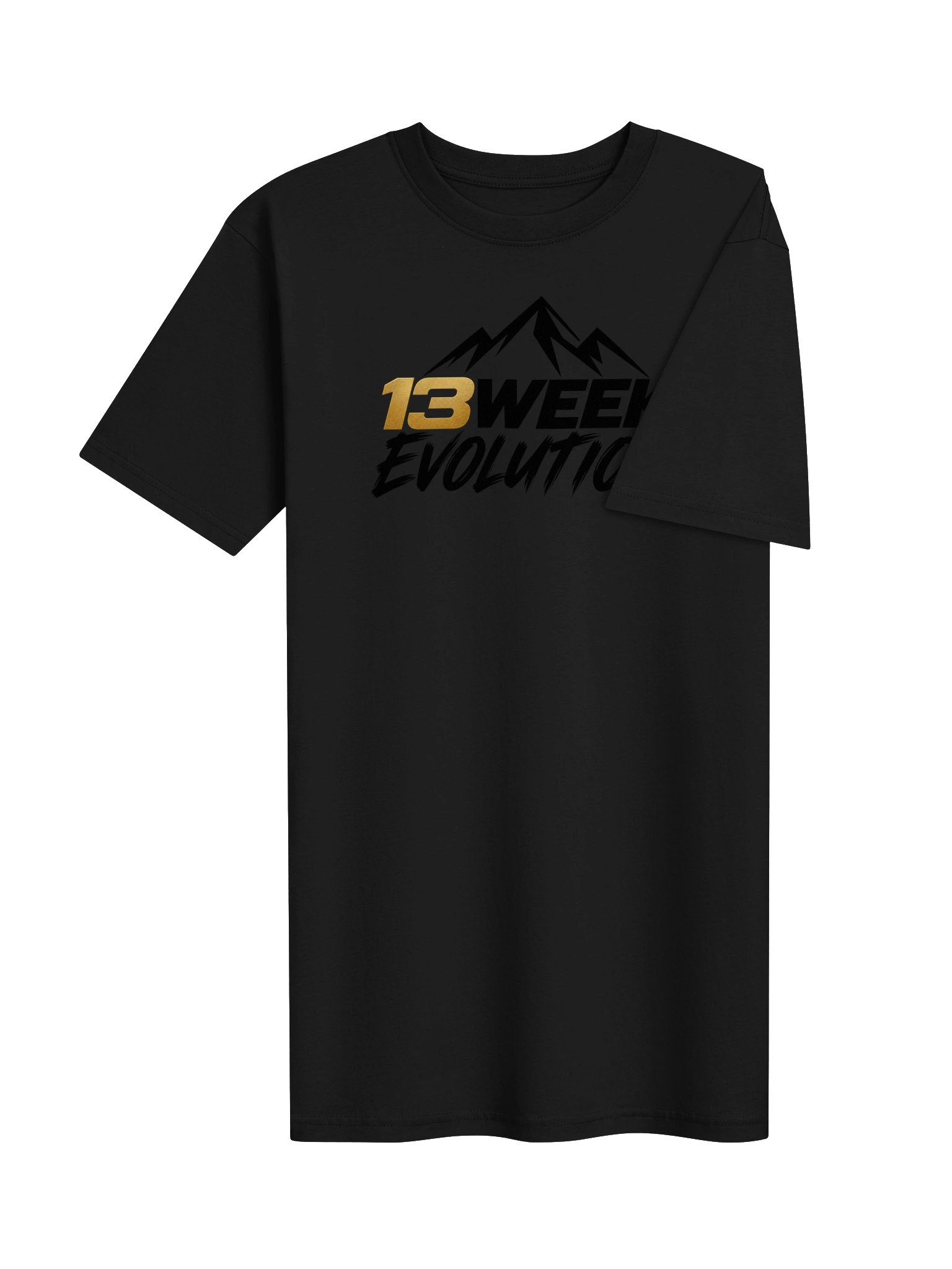 13WE Premium Stealth Tee product image (15)