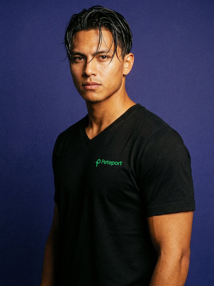Peteport V-Neck Tee product image (1)