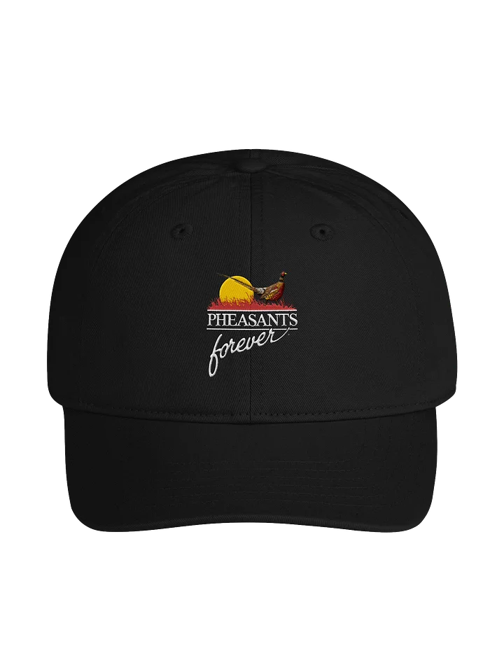 Benton Franklin PF Dad Cap product image (1)