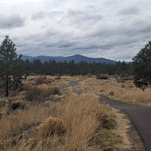 I like to imagine the trail leads all the way to the top of that mountain

#pnwtrails #highdesert #mountainviews #chapparal #...