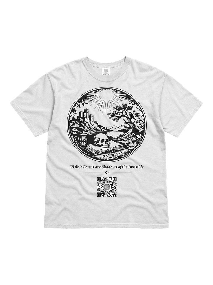 Signs of Things Spiritual and Divine product image (1)