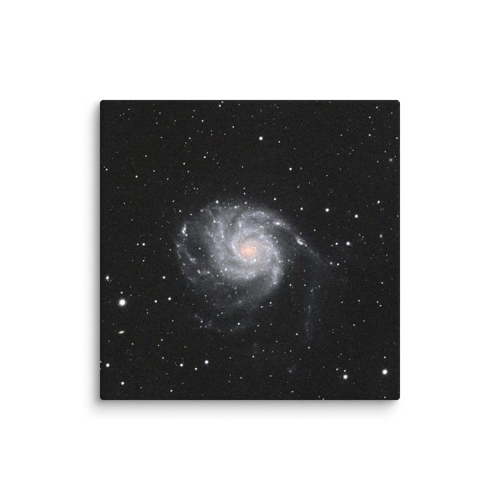 2025 - M101 by Eduardo Glasman product image (4)
