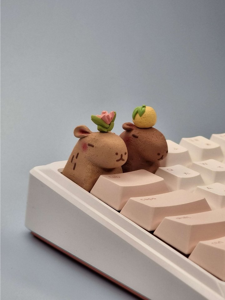 Capybaras product image (1)