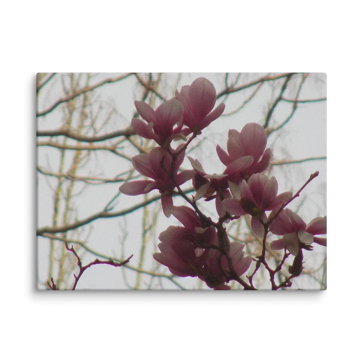 Magnolia product image (1)