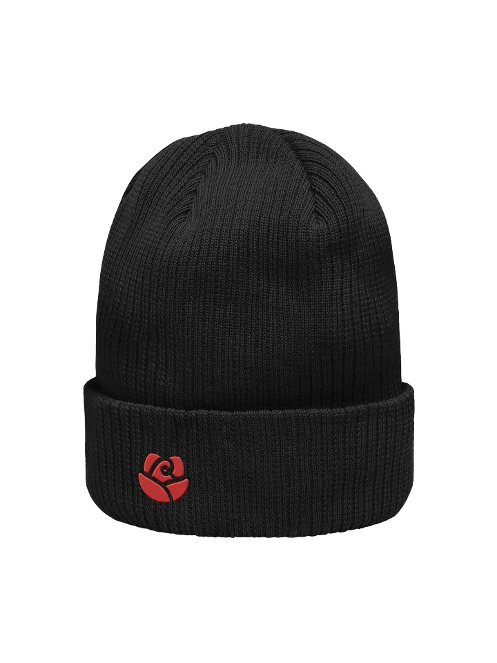 Atlantis Organic Ribbed Beanie product image (7)