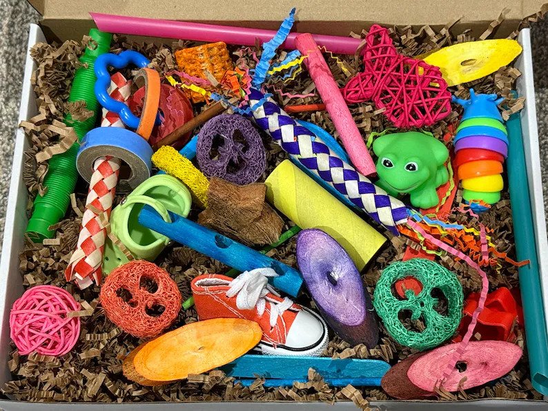 Rainbow Beaks Foraging Box product image (2)