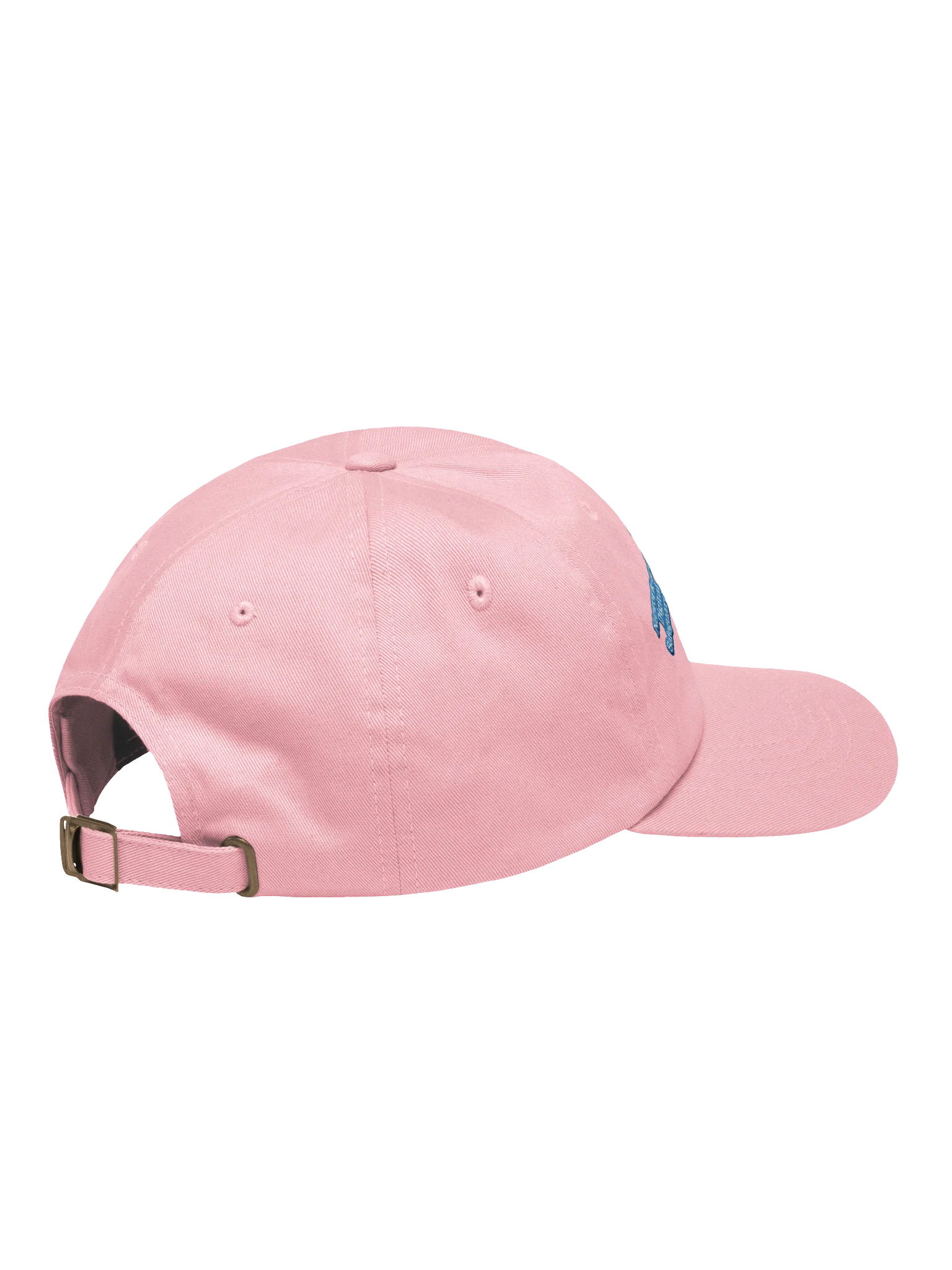 Where is Hudson Voxel Cap product image (4)