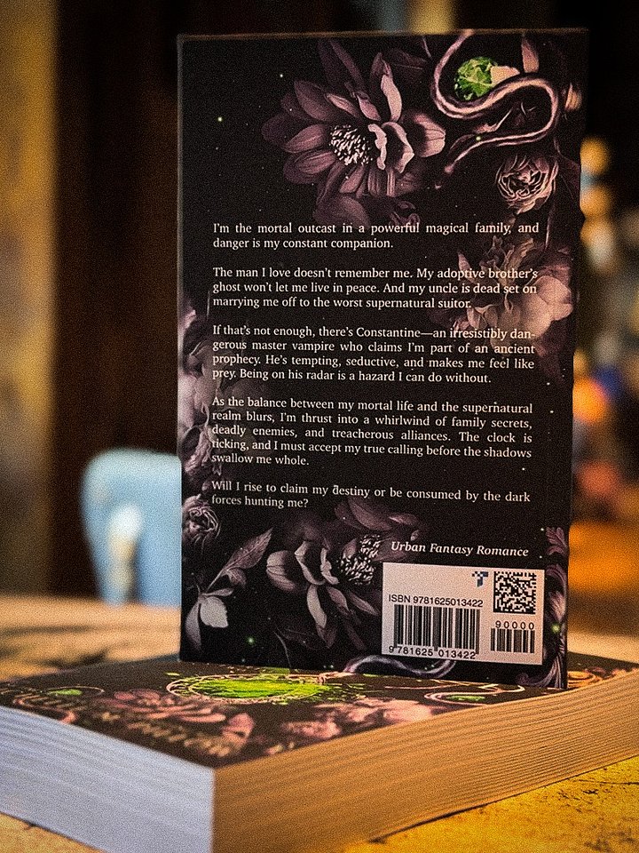 SIGNED: Mostly Shattered (Merely Mortal #2) Paperback product image (2)