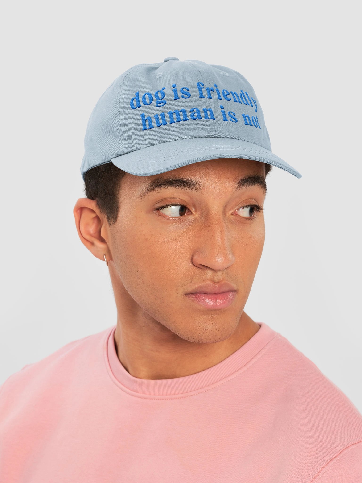 Dog Is Friendly. Human Is Not Classic Dad Hat(Embroidered) Low Contrast(Blue) product image (6)