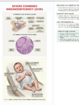 IvyTutoring Step 1 HY Book - Biochemistry product image (2)