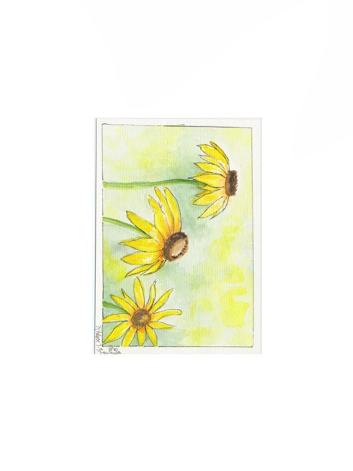 Yellow Cornflowers Print product image (1)