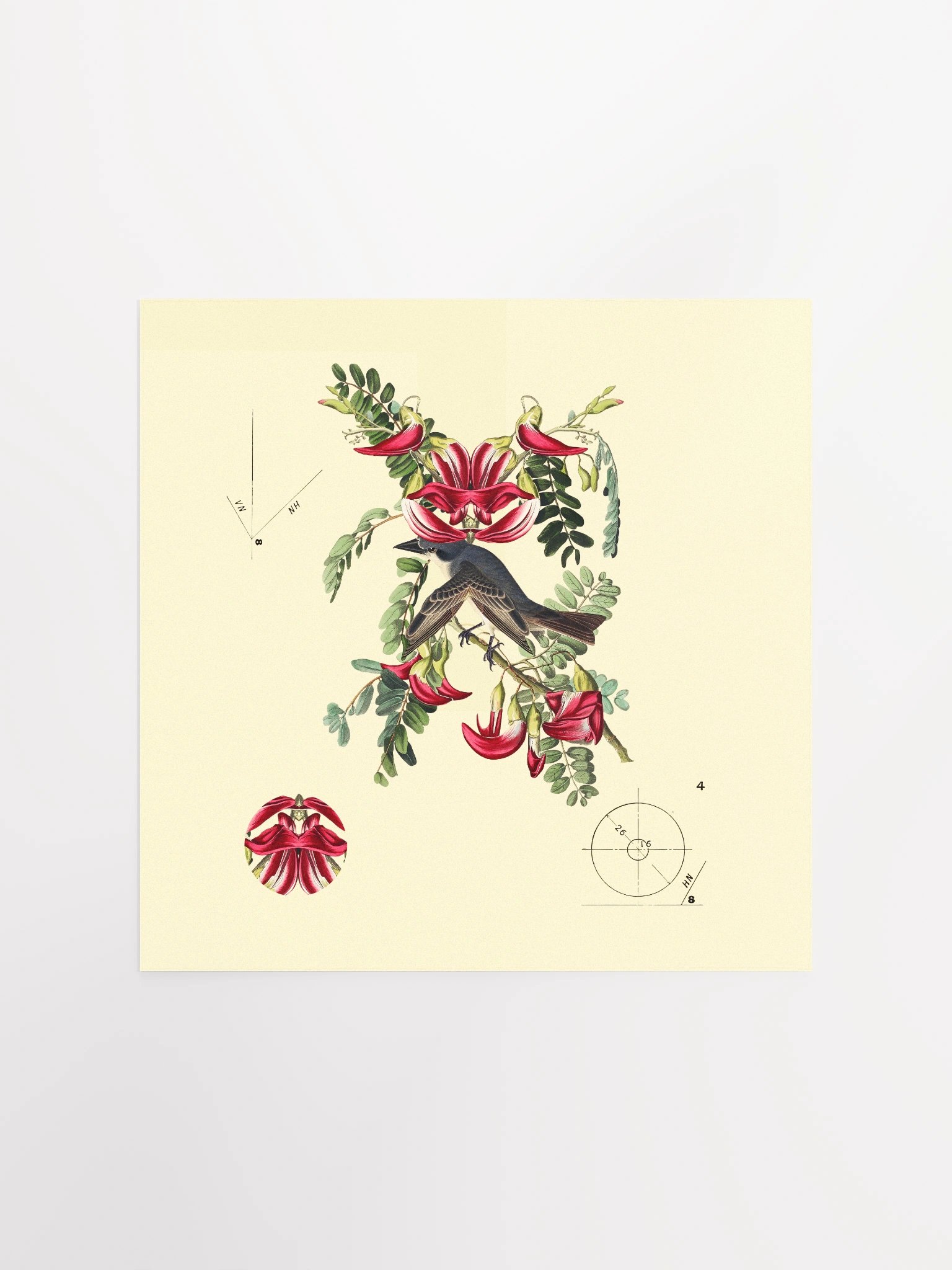 Bird Botanical Dadaism Poster product image (2)