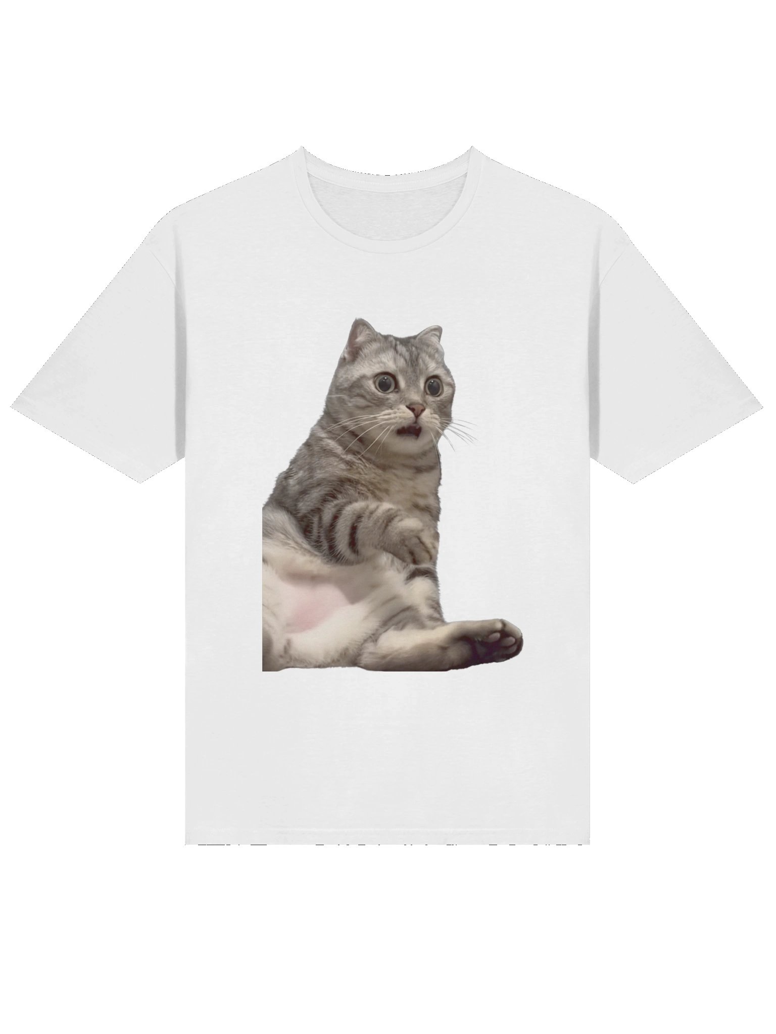 Scared Cat Meme T-Shirt product image (3)