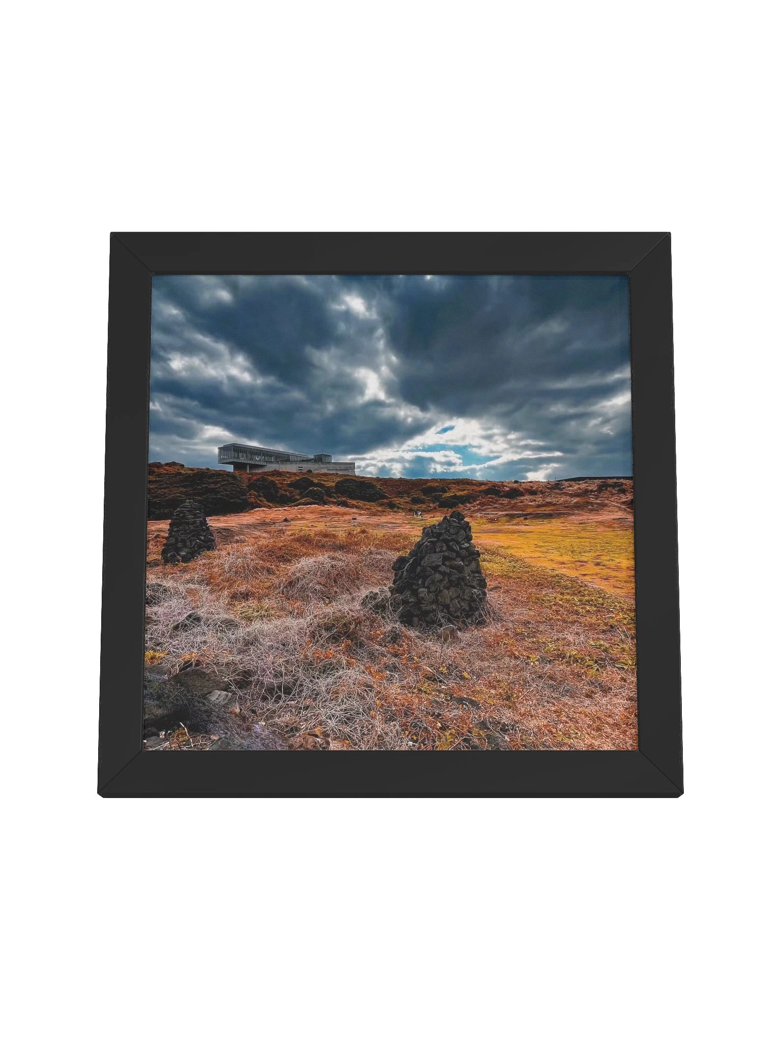 The Lookout product image (4)
