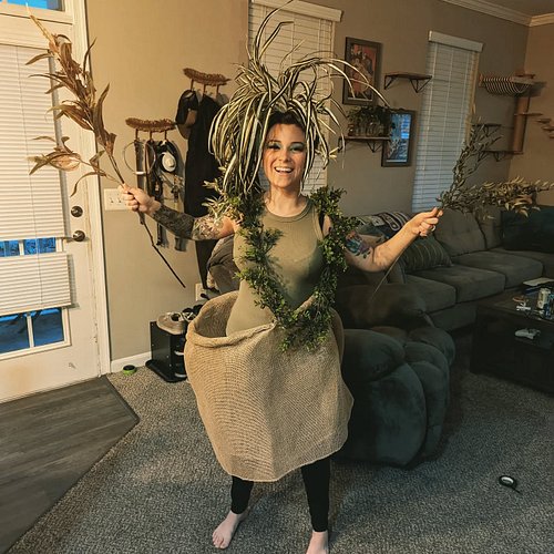 I'm a house plant! #happyhalloween🎃