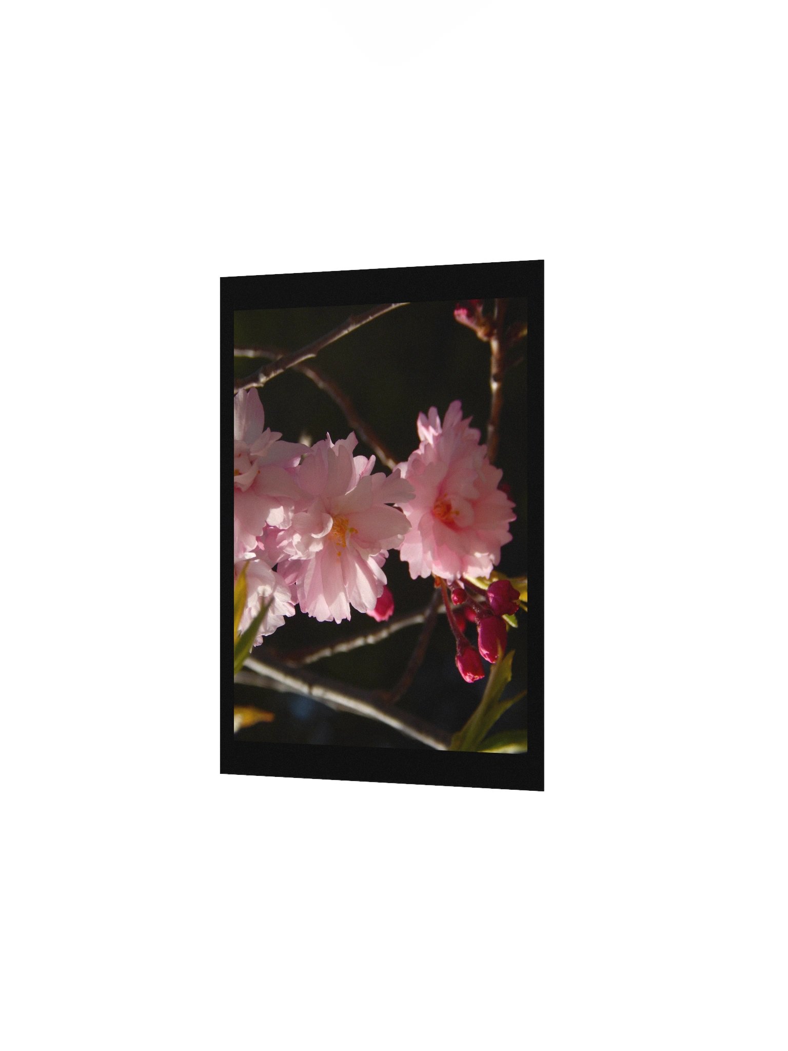 Pink Flowers product image (3)