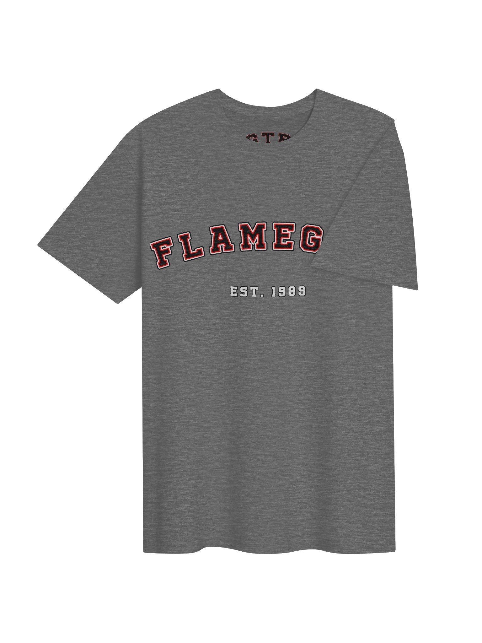FlameGTR Gym product image (26)