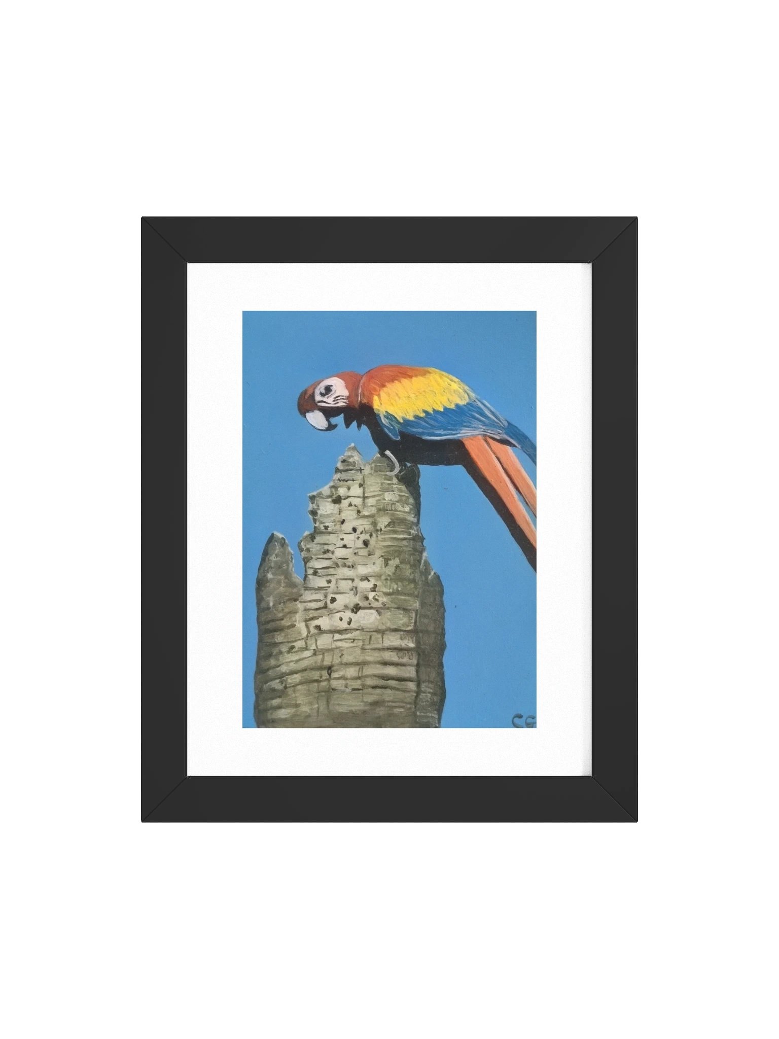 Scarlet Spirit of Playa Blanca Framed Poster product image (10)