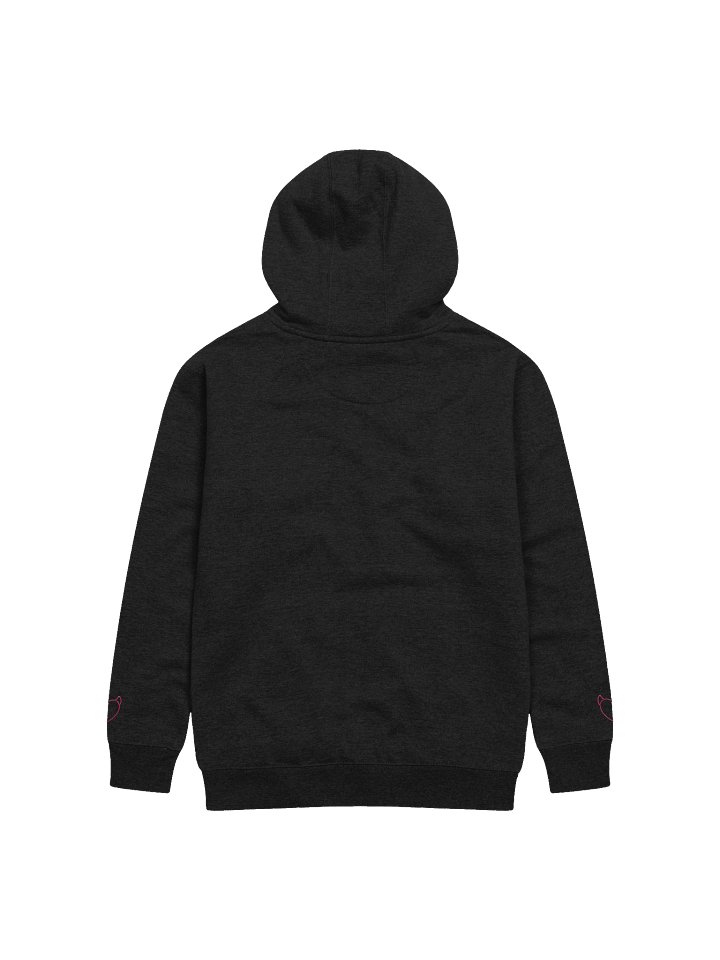 Xtraliana Embroided Hoodie product image (2)
