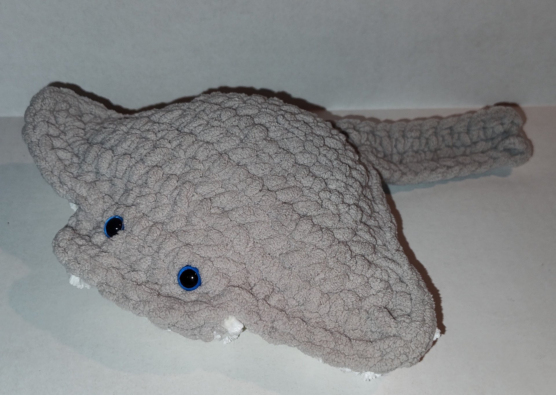 Manta Rays product image (1)