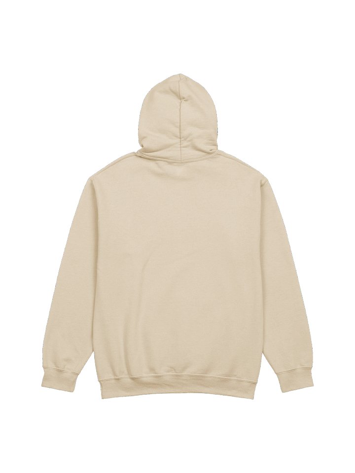 RGL GAMNG HOODIE! product image (2)