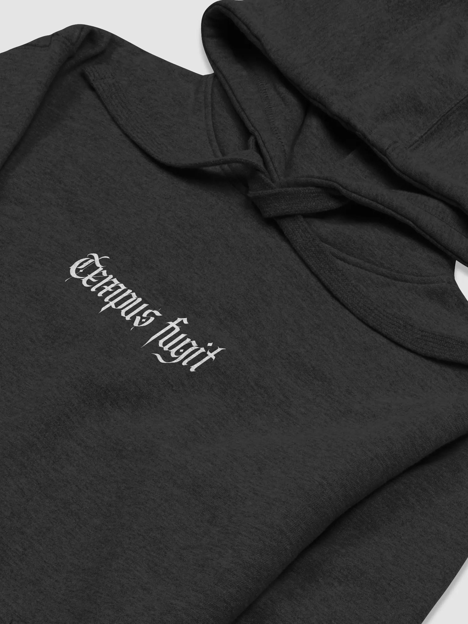 Tempus Fugit Hoodie product image (9)