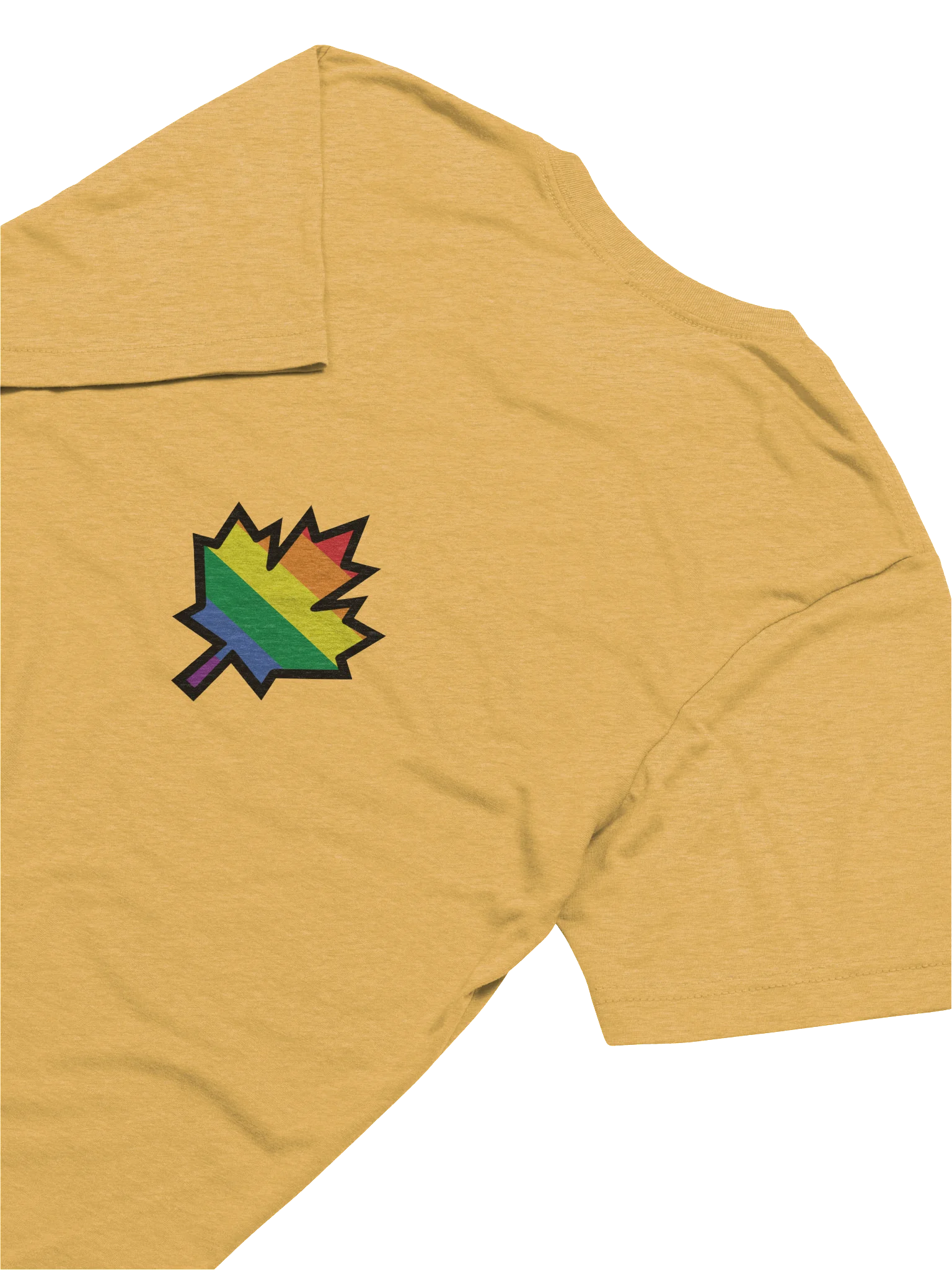 I AM Canada 2SLGBTQ+ Pride T-Shirt product image (7)