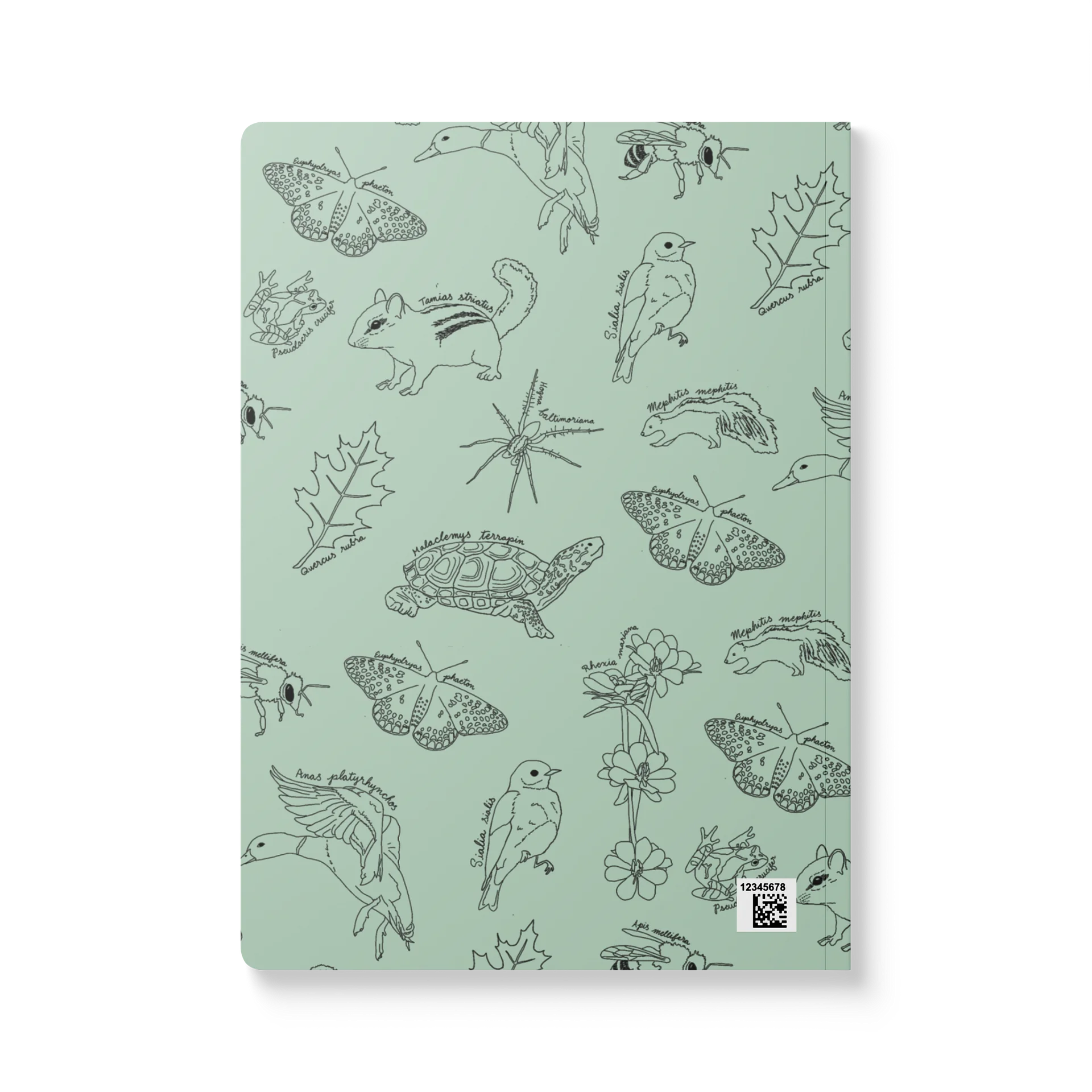 Appalachia notebook product image (2)