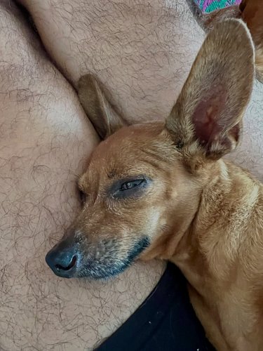 Some pets make it so easy for us to love them. 

Share a picture of your loved ones 🤗